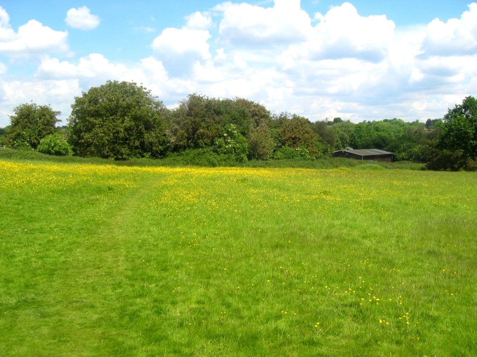 Harpenden-Common-20040531-005