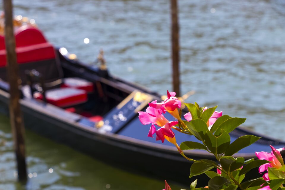 Channel boats haven