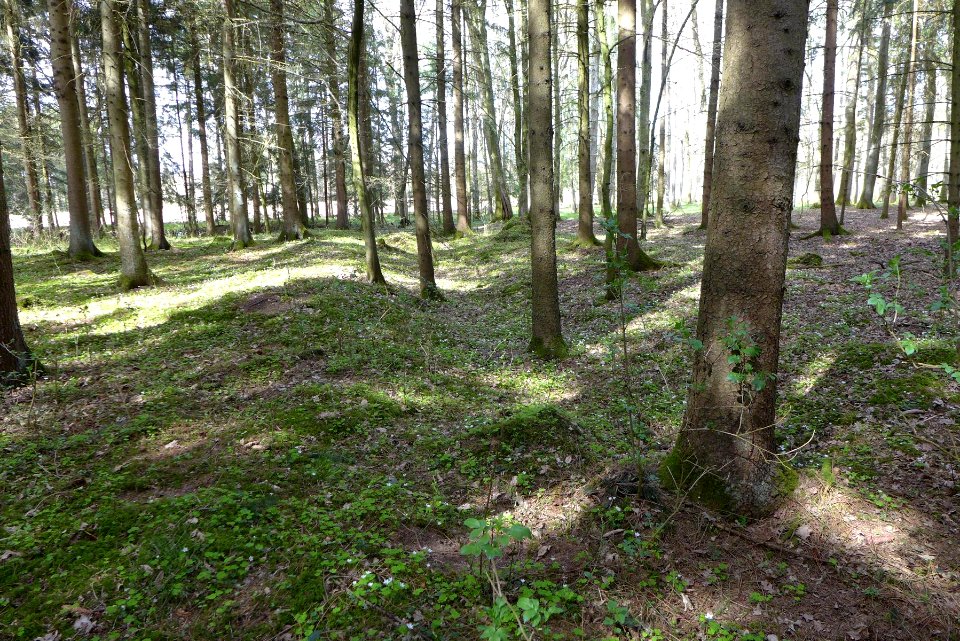 Hart-Wasenberg05-Vorwallbogen-östlich