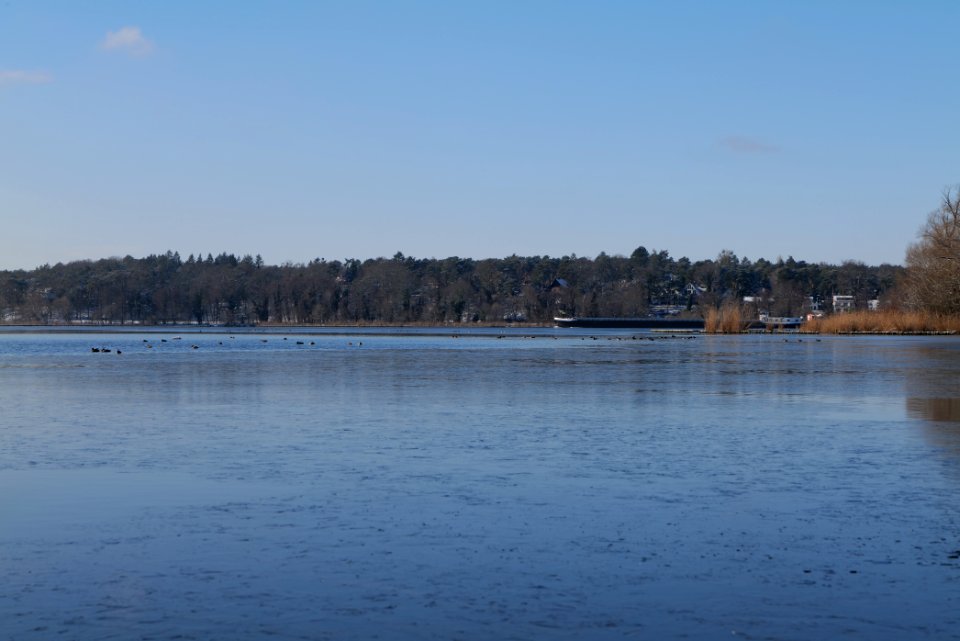 Havel with ice at Grunewald 2021-01-31 02