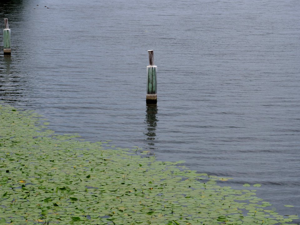 Havel from Oberhavelsteg 2019-07-03 04