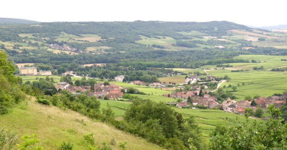 Haut Santenay Vue d'ensemble 8