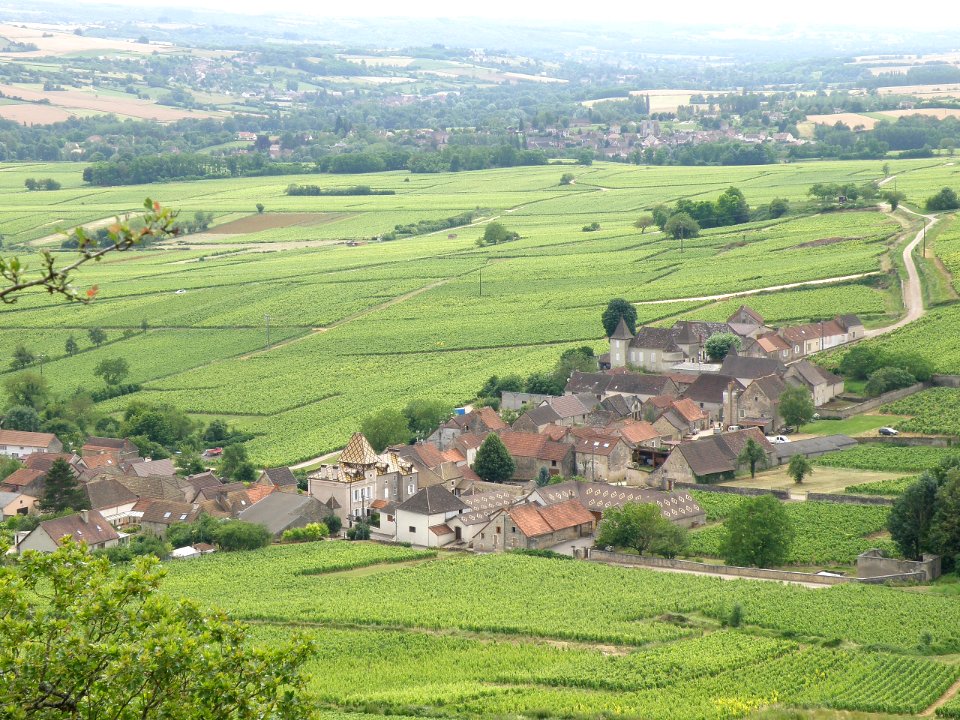 Haut Santenay Vue d'ensemble 13
