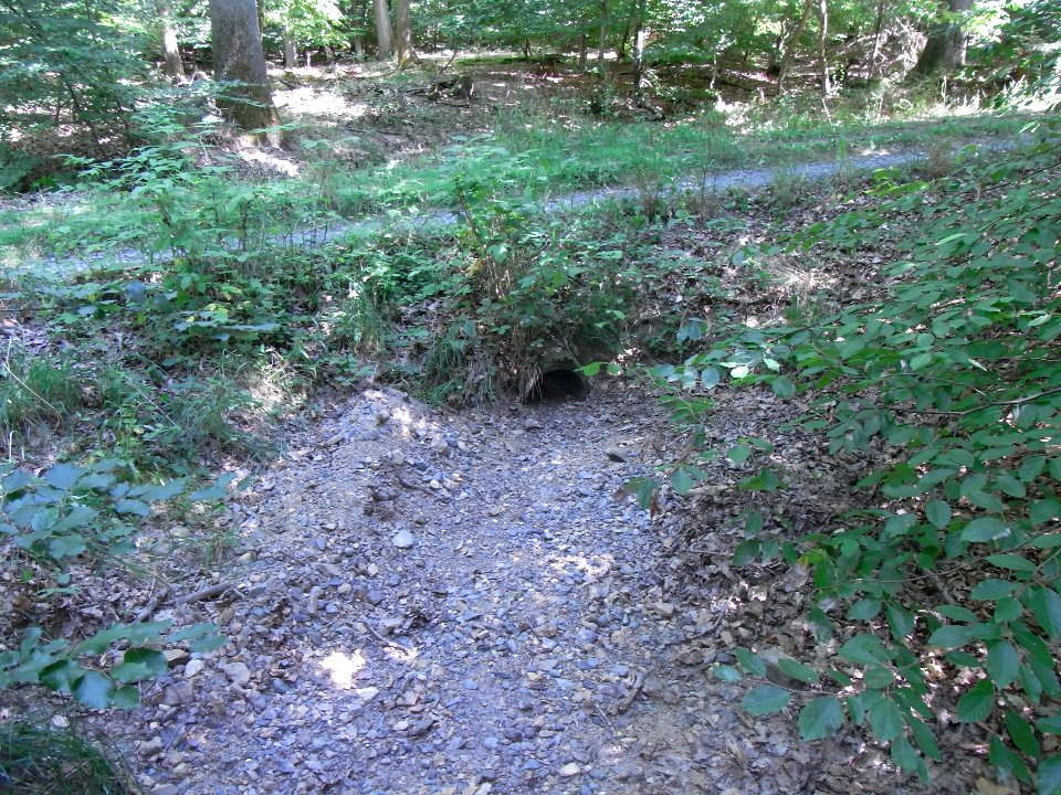 Holzbach 248483424 Durchlass Weg aus R0017916
