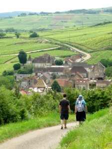 Haut Santenay Vue d'ensemble 15