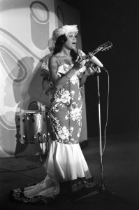 Hawaiaanse danseres, Bestanddeelnr 919-6290