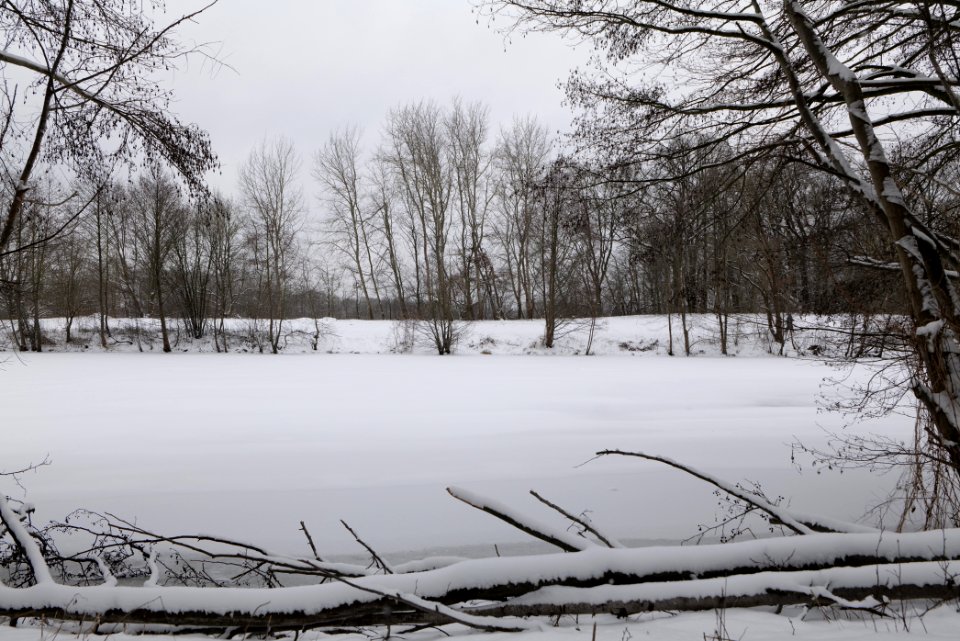 Havelkanal in Hennigsdorf with ice and snow 2021-02-09 06