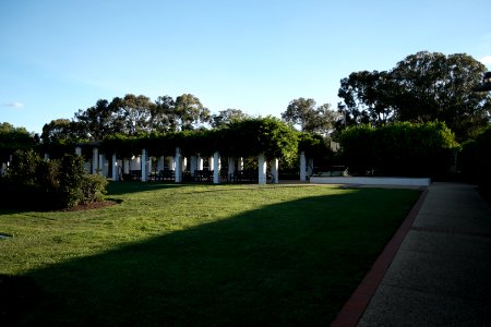House of Representatives Garden, Parliament House Gardens 003