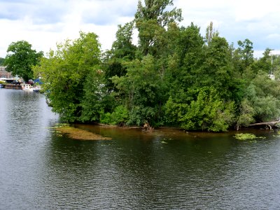 Havel bank from Wasserstadtbrücke 2019-07-03 03