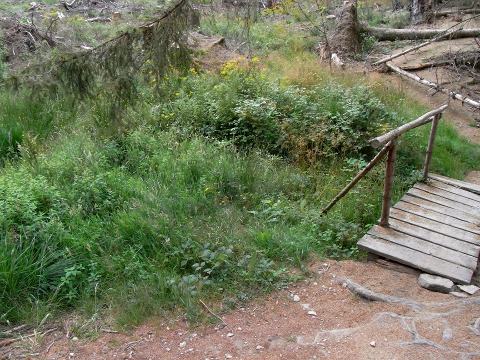Holzbach 24848342 am Limes R0017938