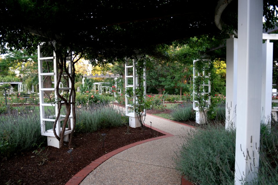 House of Representatives Garden, Parliament House Gardens 034