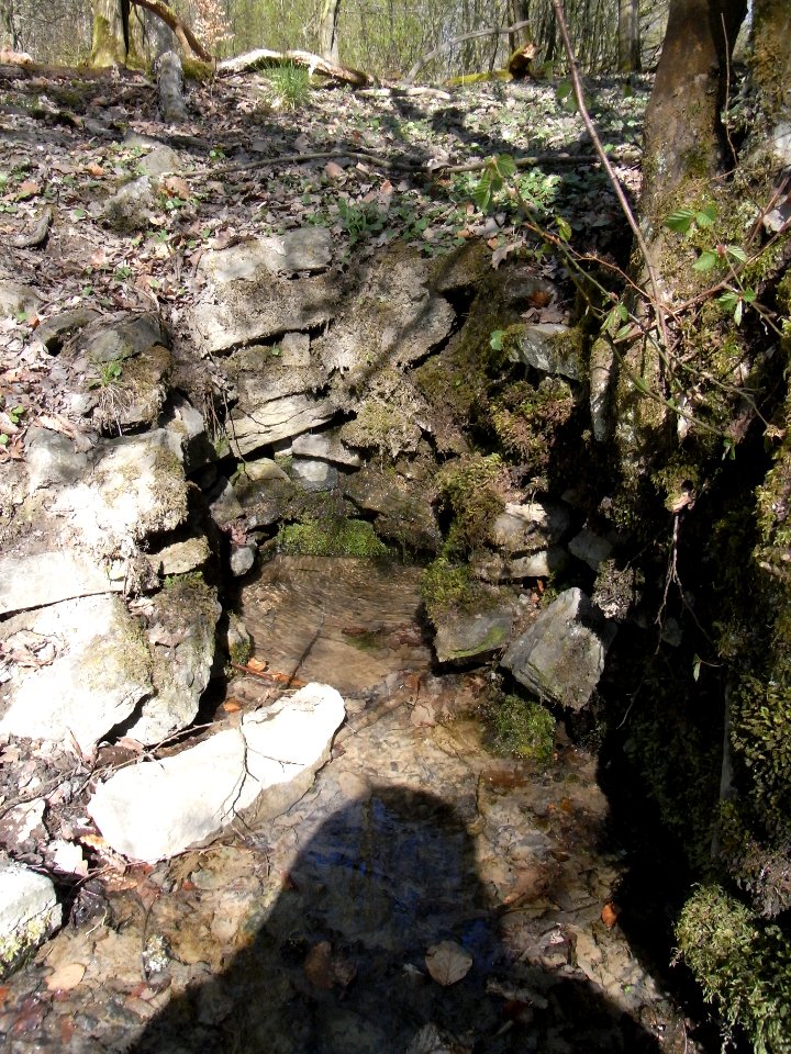 Holzbach letzter Teich Zufluss NE nah R0022123