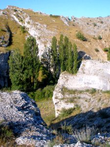 Hoyos del Tozo 43