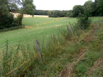 Holzbach Zufluss von Fischteichen Rittersbach R0017450