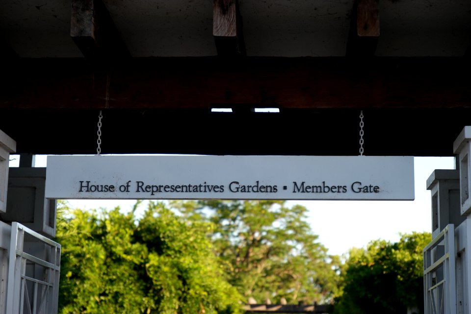House of Representatives Garden, Parliament House Gardens 007