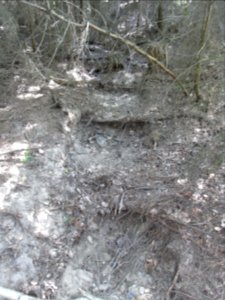Holzbach 24848342 unter Forsthausstraße R0017832