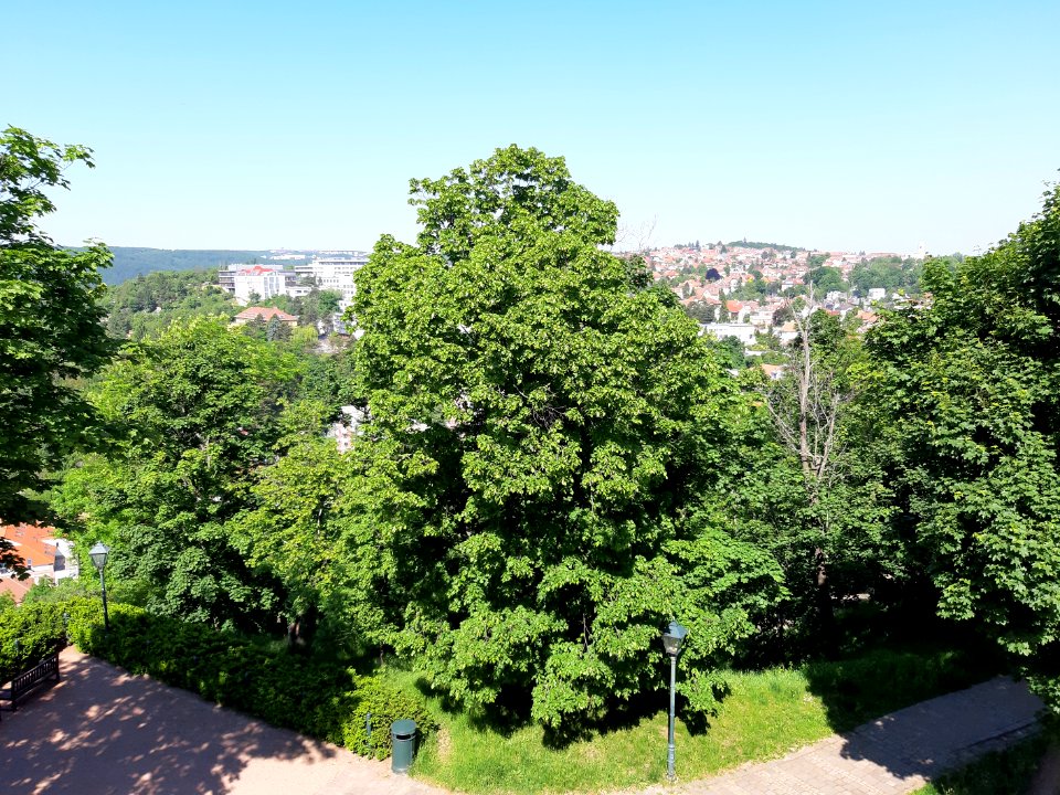 Hrad Špilberk & okolí 20210602 095536 A