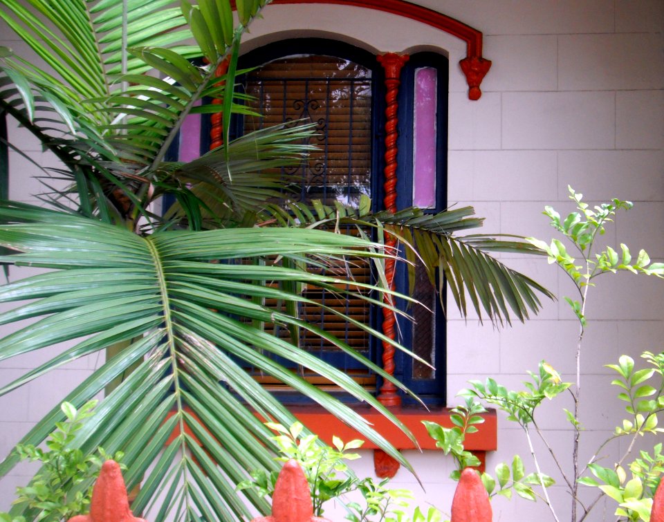 House Paddington Sydney