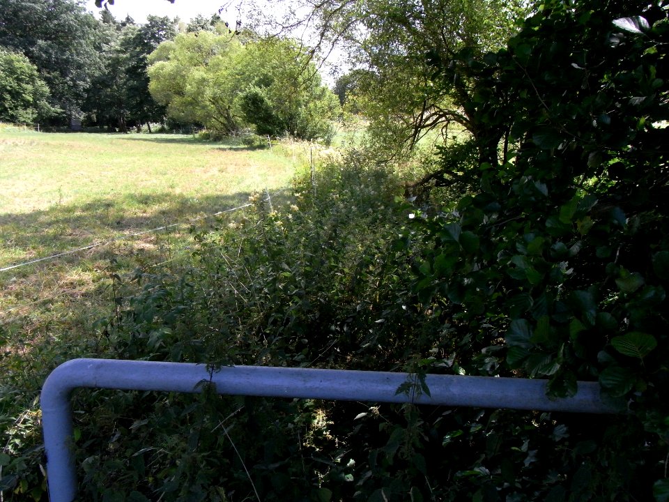 Holzbach am Ortsende Friedrichsthal R0017469
