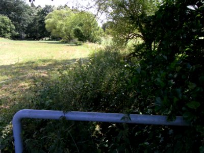 Holzbach am Ortsende Friedrichsthal R0017469