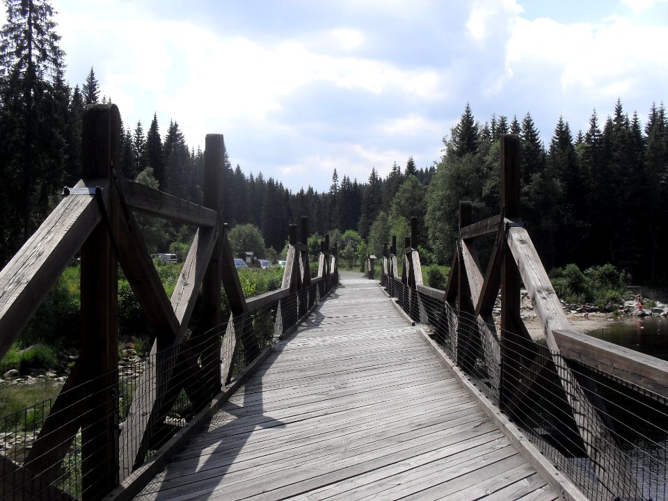 Hradlový most (Šumava) 76