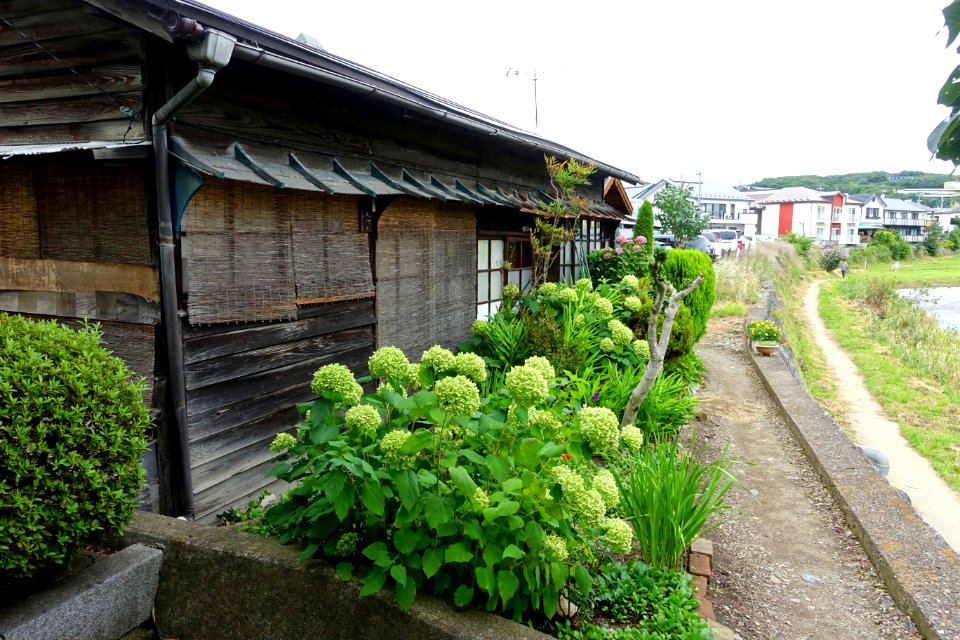 House on the Nakatsu River - Morioka, Iwate - DSC04133