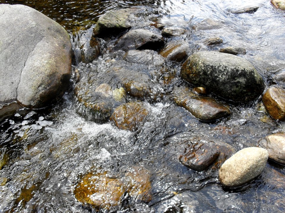 Hradlový most (Šumava) 41