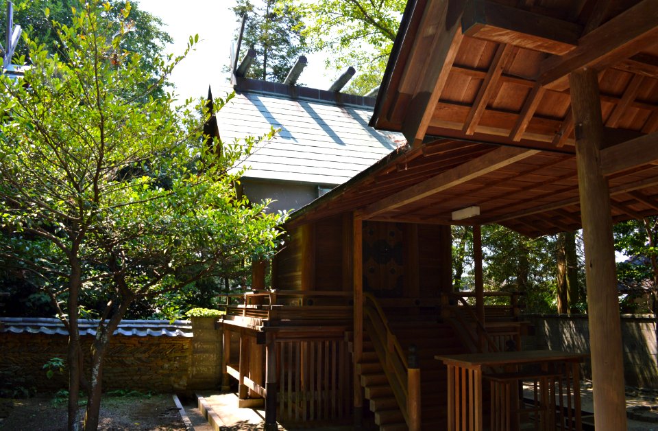 Hamanomiya (Wakayama) honden-1