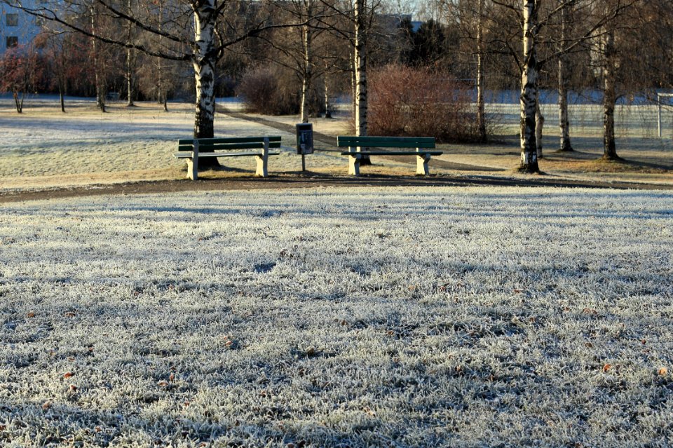 Hollihaka Park Oulu 20141101 04