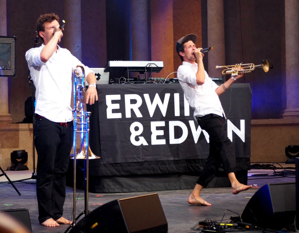 Heimatsound Festival 2016 - Erwin & Edwin (61)
