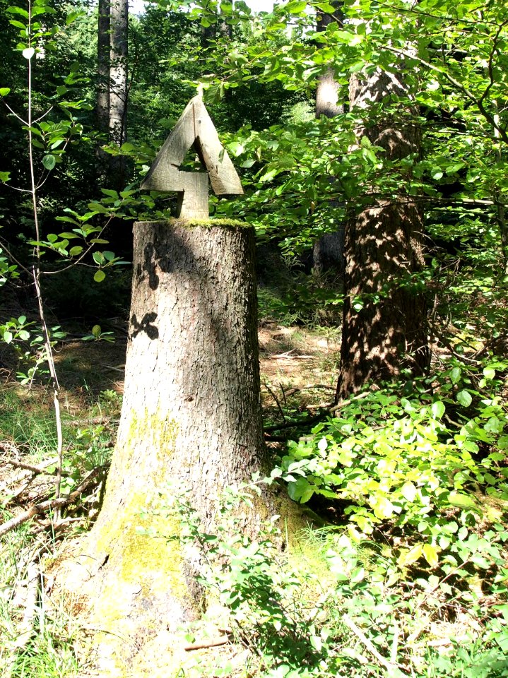 Holzkunst Baumstamm Pfeil