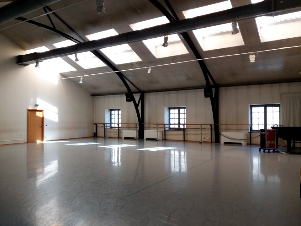 Grenier d'abondance de Lyon - Salle de l'école de danse 2