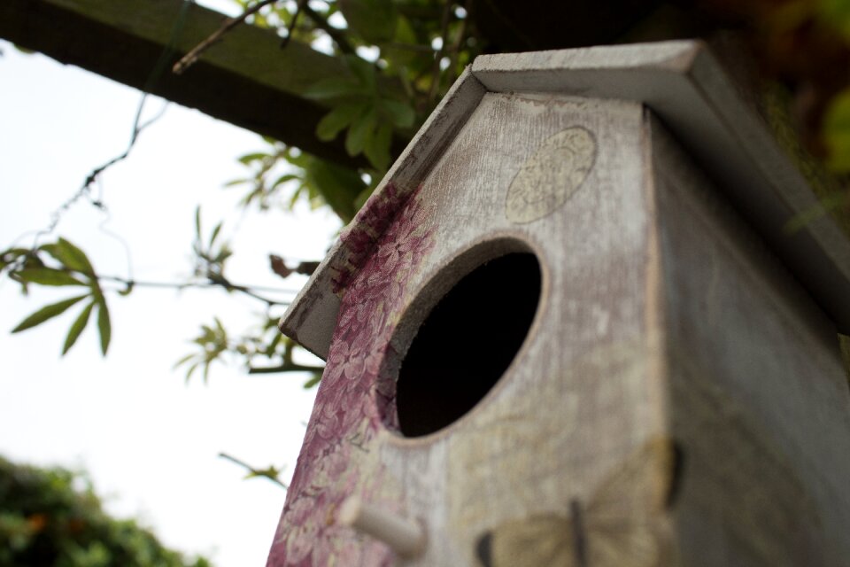 Gardening wildlife birds