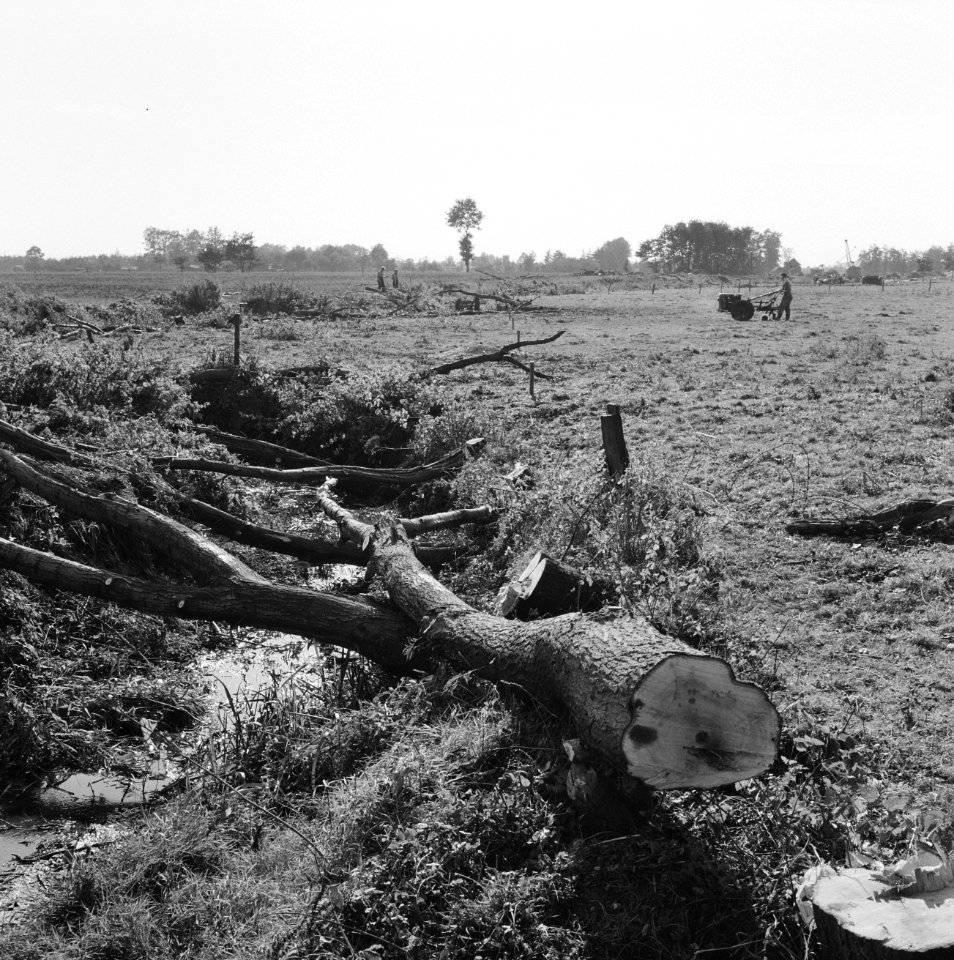 Graven en verbeteren van kanalen, aanleggen bruggen, bomen, barneveldse beek, Bestanddeelnr 160-0749