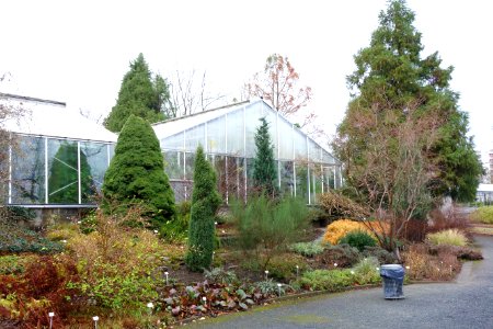Greenhouses - Botanischer Garten, Dresden, Germany - DSC08642