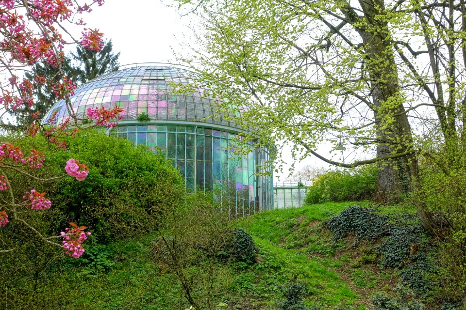 Greenhouse view - Royal Castle of Laeken - Brussels, Belgium - DSC07123