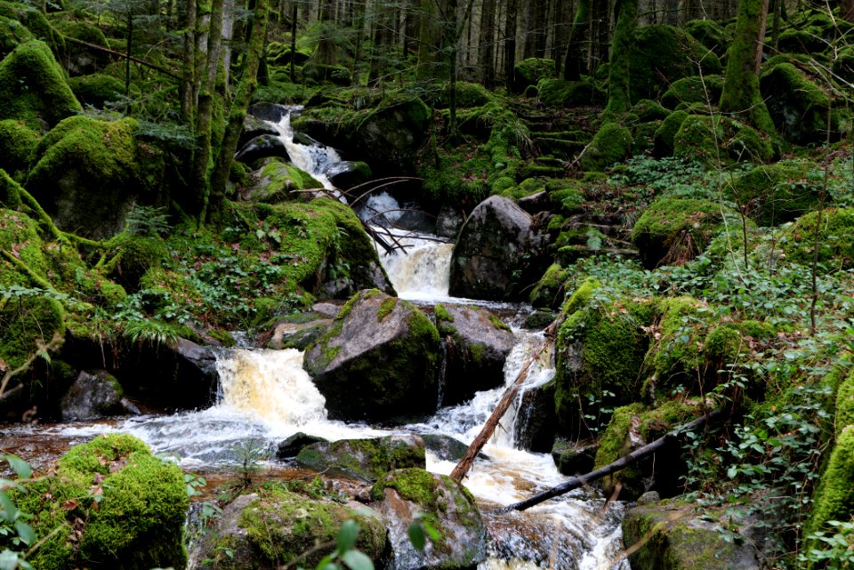 Grimbach Waterfall 2020-03-13 08