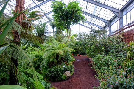 Greenhouse scene - Flora park - Cologne, Germany - DSC00500