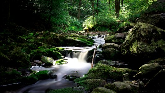Green Flow (216926051)