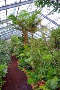 Greenhouse scene - Flora park - Cologne, Germany - DSC00530
