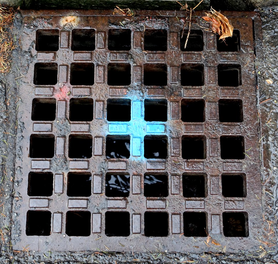 Grate - Arlington, MA - DSC04253