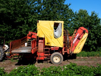 Grimme Matador pic3