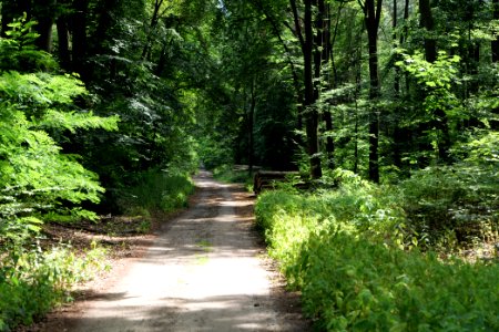 Herrensee, Lange-Damm-Wiesen und Barnim-Hänge 2020-08-05 47
