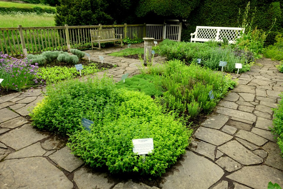 Herb Garden - Fountains Hall - North Yorkshire, England - DSC00547