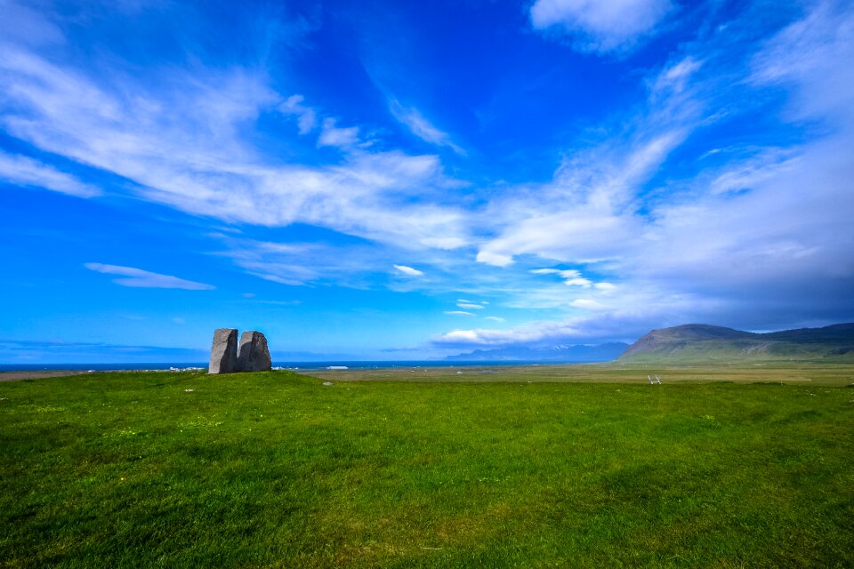 Nature green grass