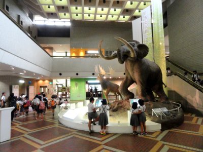 Hall - Osaka Museum of Natural History - DSC07708