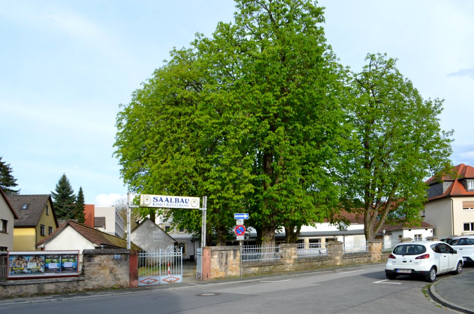 Heppenheim, Wilhelmstraße 38 (2)