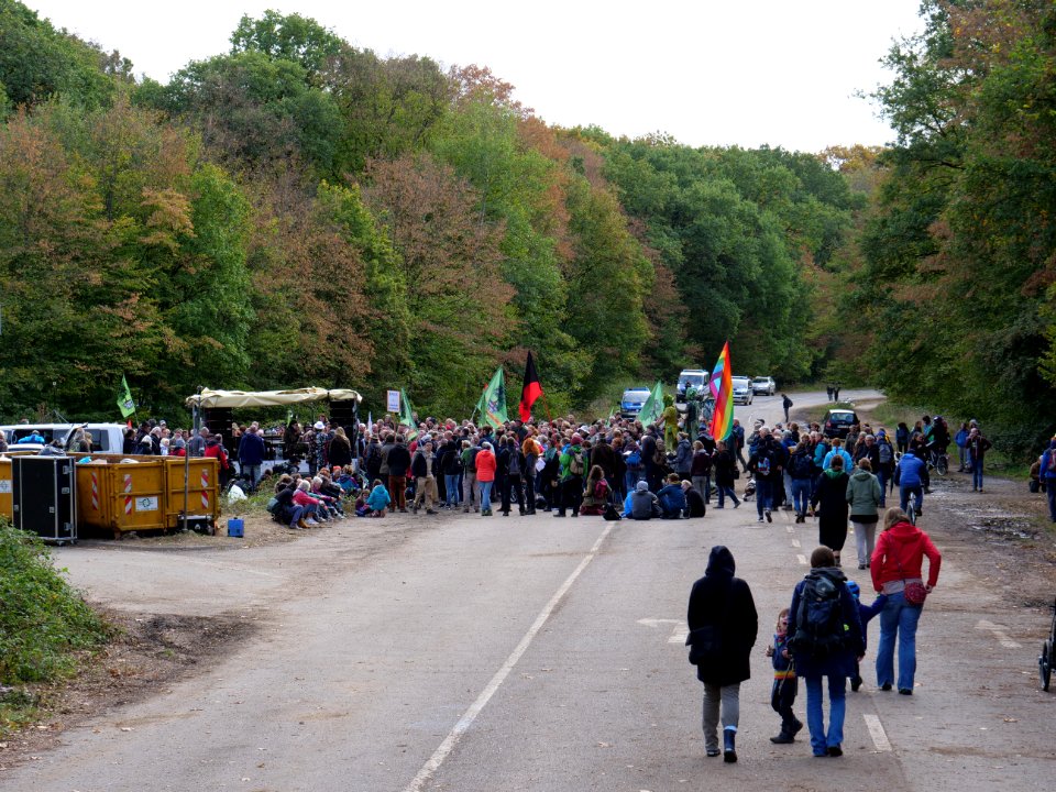 Hambacher Forst forest walk 07-10-2018 11
