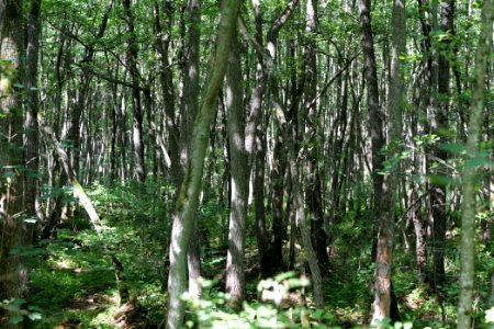 Herrensee, Lange-Damm-Wiesen und Barnim-Hänge 2020-08-05 80