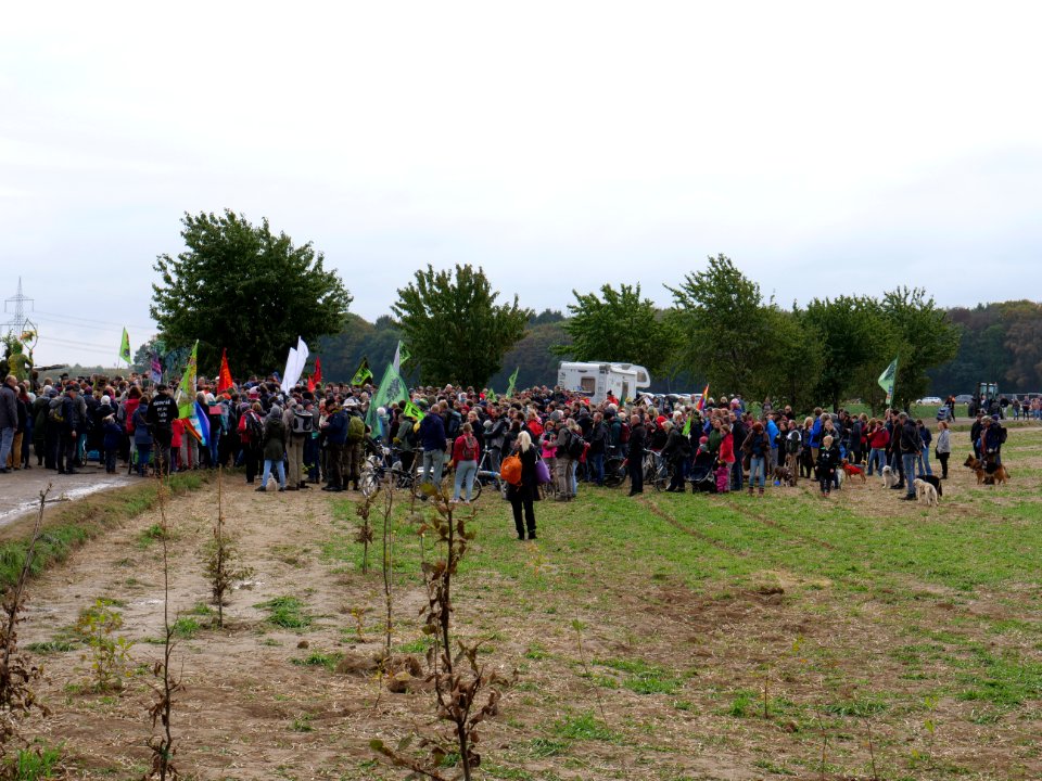 Hambacher Forst forest walk 07-10-2018 03